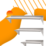 Stainless Steel Shelves